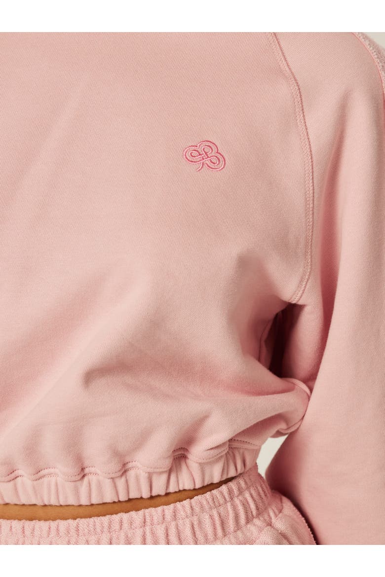 Be The Moment Cropped Hoodie, Alternate, color, Blush