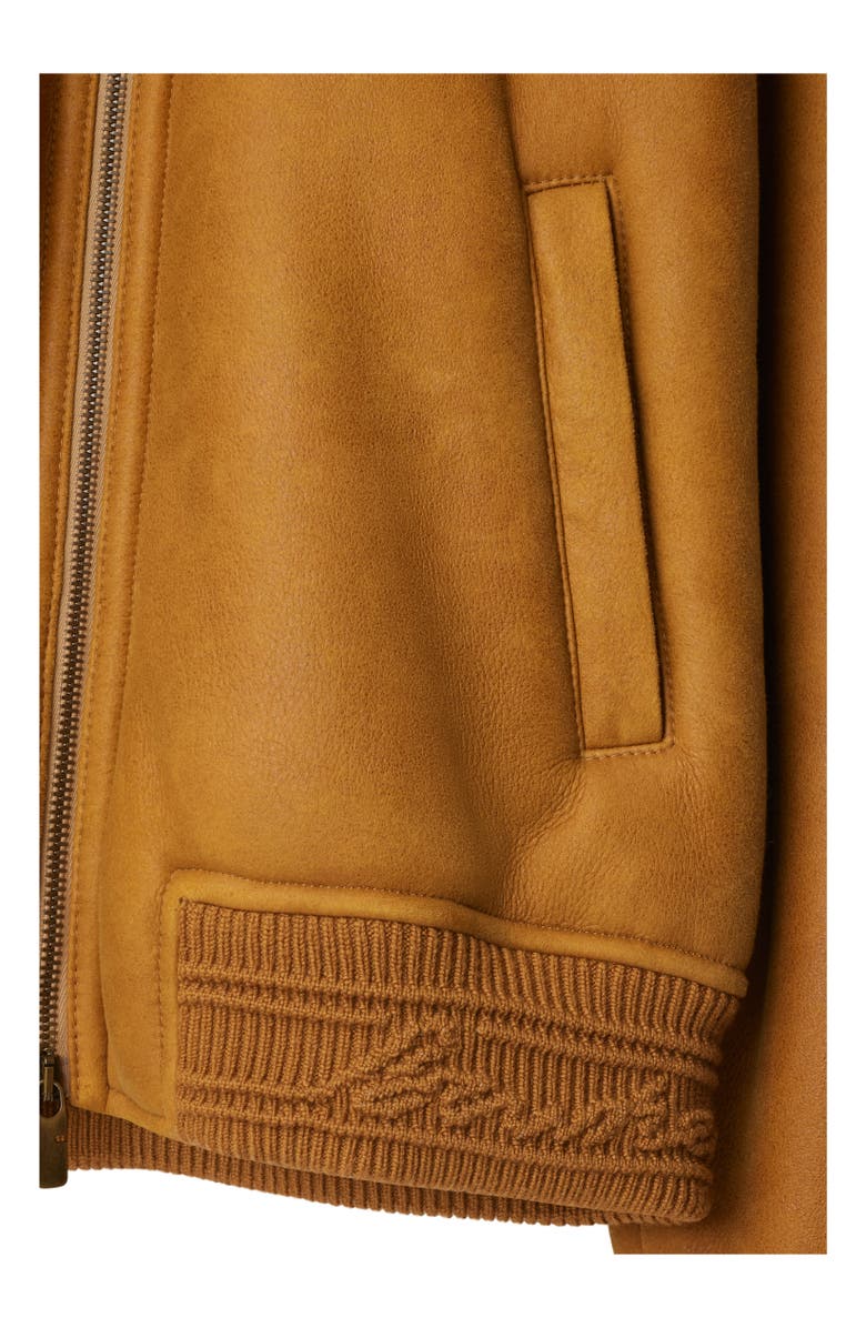 Burberry Shearling Harrington Jacket, Alternate, color, 