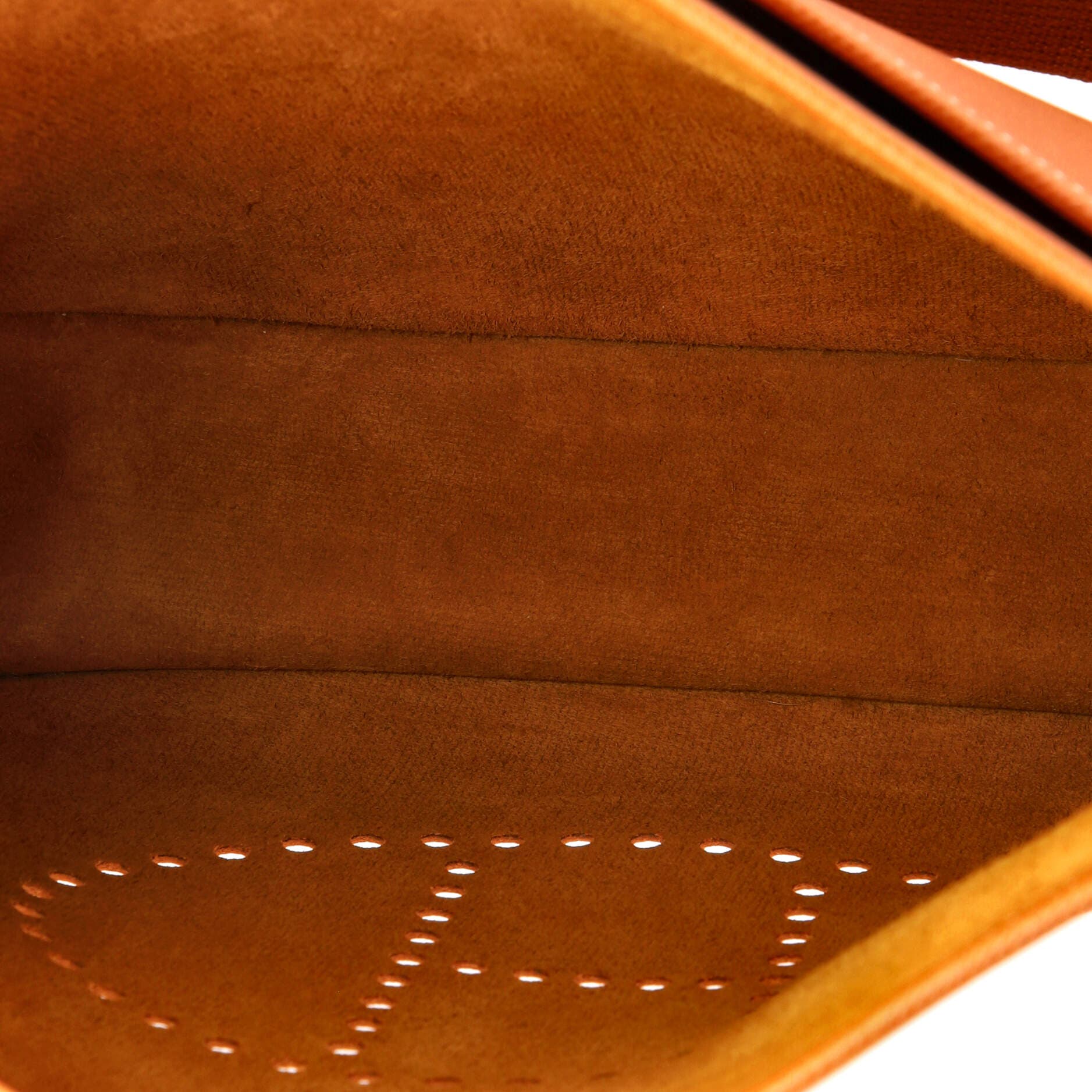 Evelyne Bag Gen II Epsom GM, Alternate, color, Brown