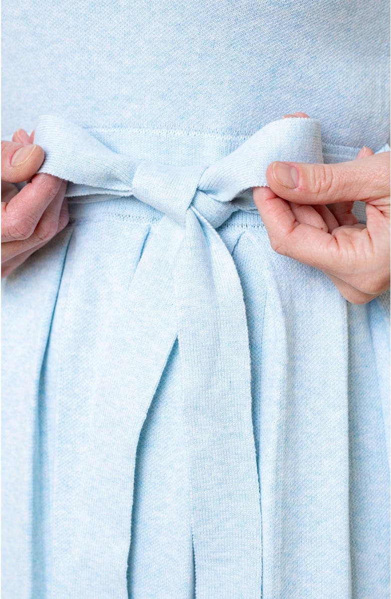 Hope & Henry Women's Organic Pleated Sweater Knit Dress, Alternate, color, Light Blue Heather