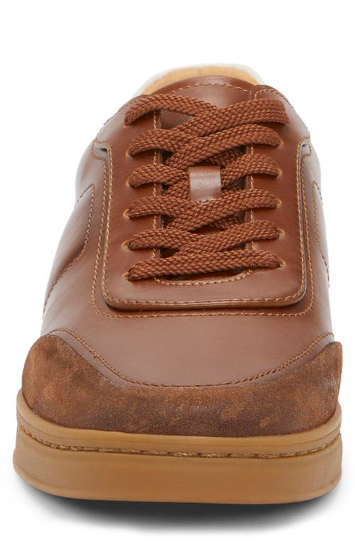 Vince Camuto Bayrd Sneaker In Tan