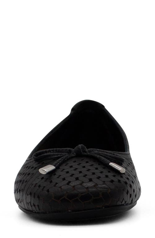 Bottero Botsamya Ballet Flat