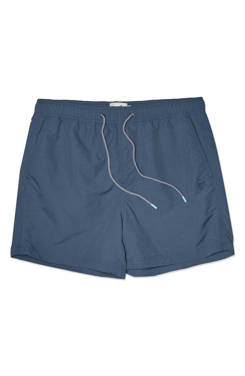 Party Pants Solid Nylon Swim Shorts, Alternate, color, Indigo