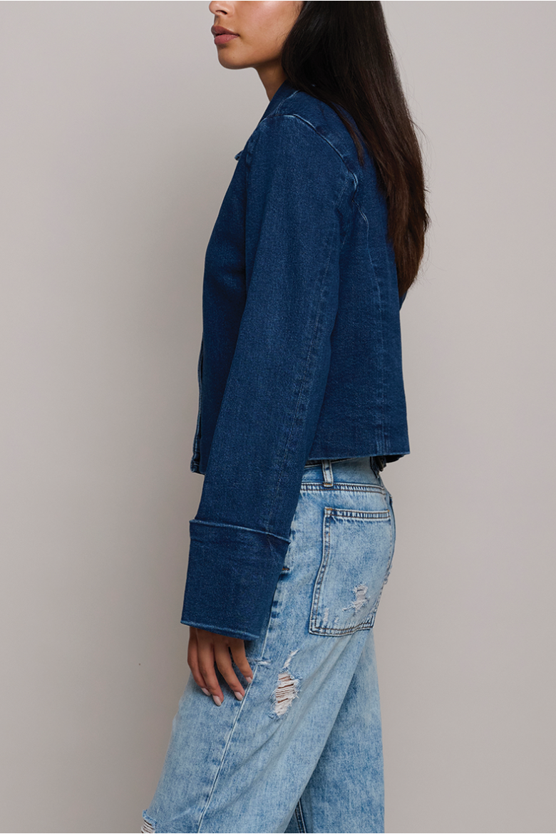 Jane Denim Jacket, Alternate, color, Beekman St.