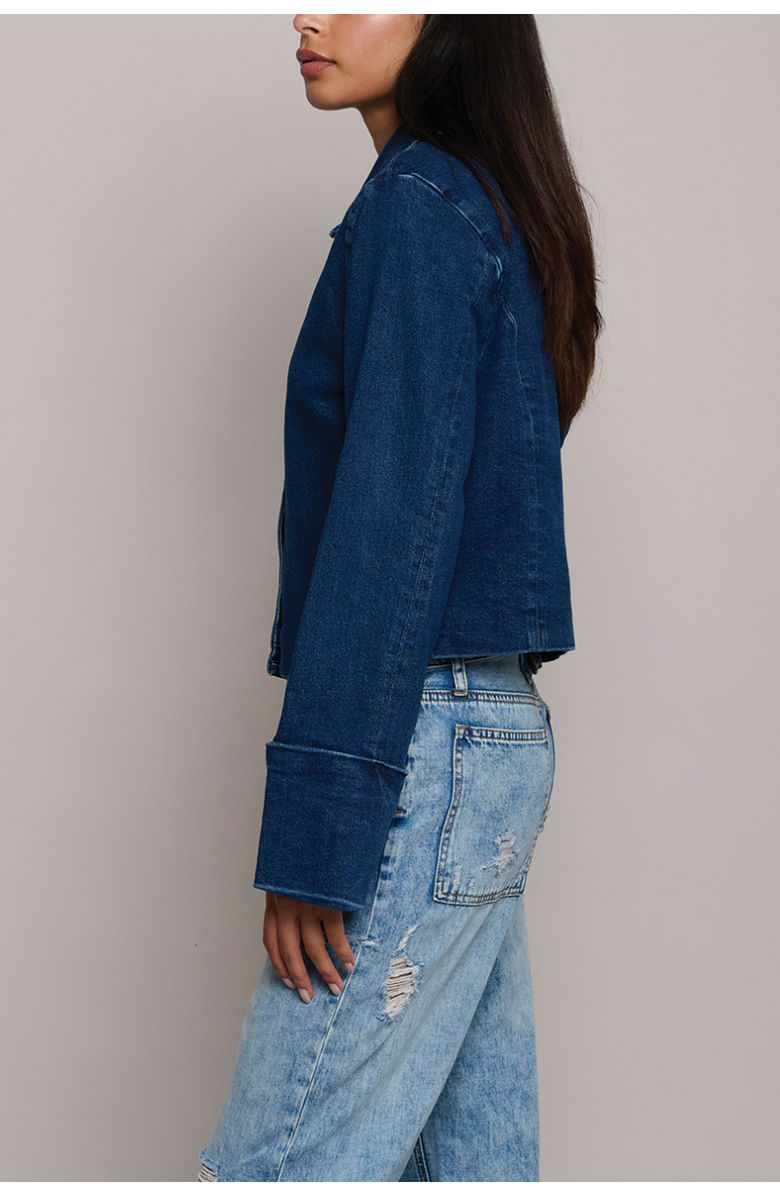 TT Studios Jane Denim Jacket, Alternate, color, Beekman St.