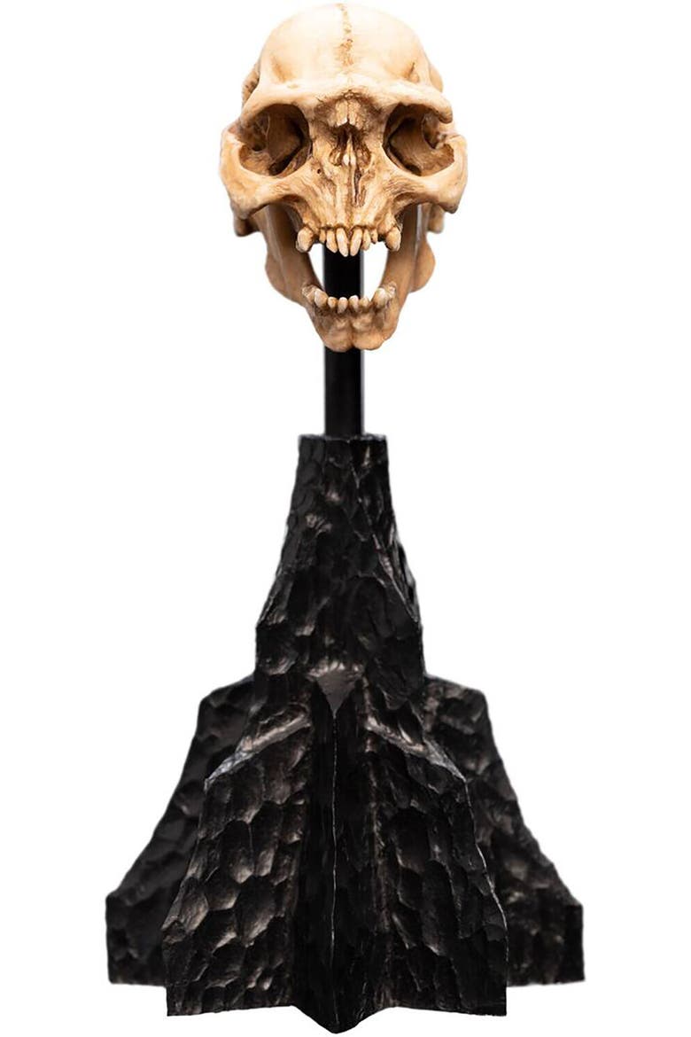 Lotr - Skull Of A Moria Orc Polystone Statue, Main, color, Multicolor