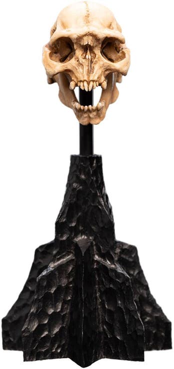 Lotr - Skull Of A Moria Orc Polystone Statue