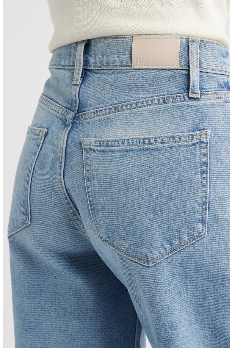 Arellia High Waist Ankle Barrel Jeans, Alternate, color, AUDUBON