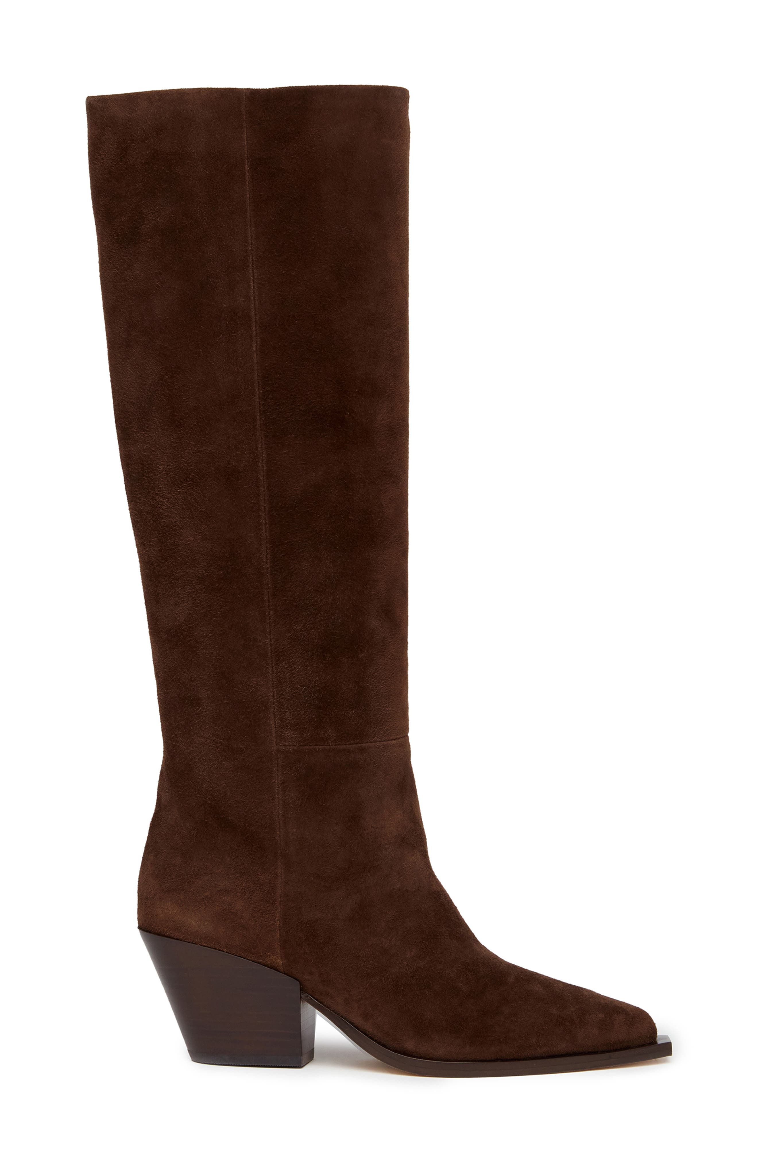 PAIGE Lillian Pointed Toe Knee High Boot, Alternate, color, 