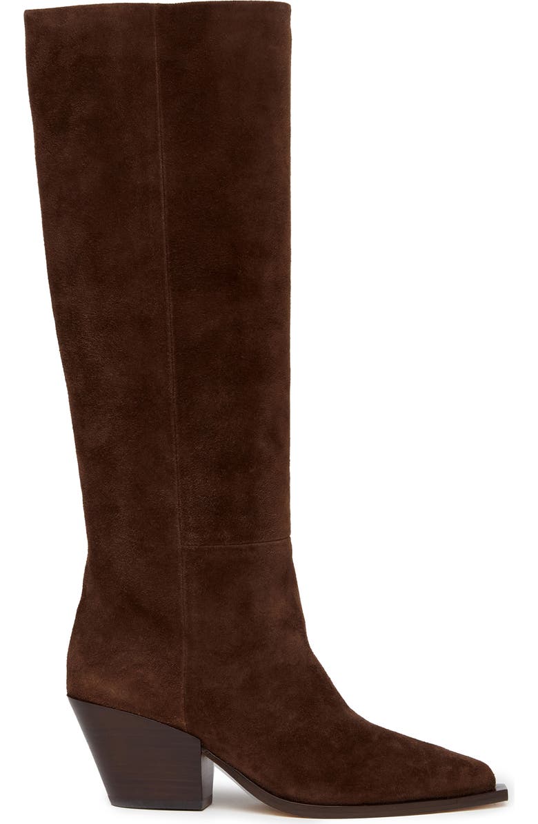 PAIGE Lillian Pointed Toe Knee High Boot, Alternate, color,