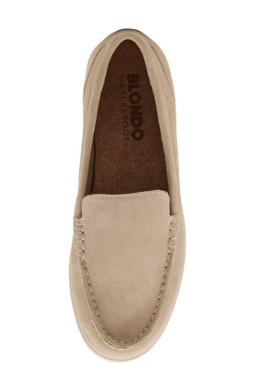 Blondo Alex Waterproof Moc Toe Loafer In Almond Suede