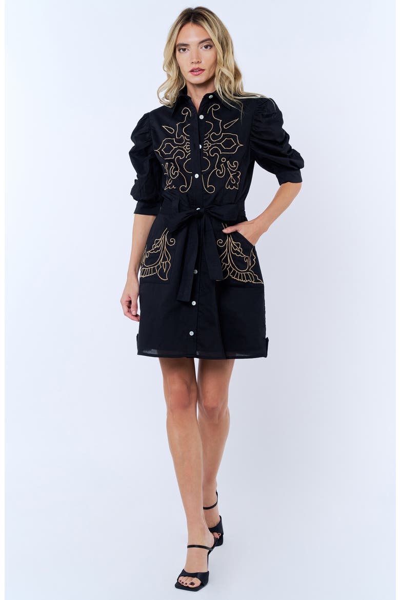 Lucy Embroidered Minidress, Alternate, color, BLACK