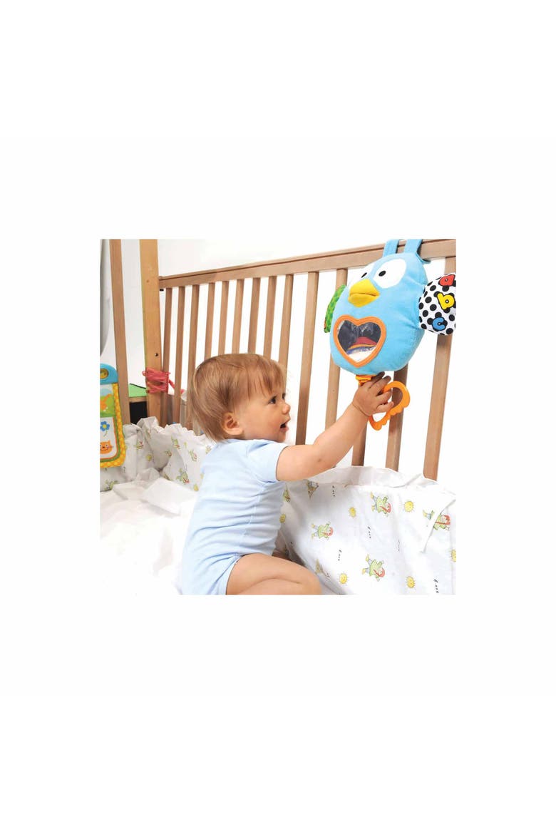 Teaching Talking Owl, 6 Months+, Alternate, color, Multicolored