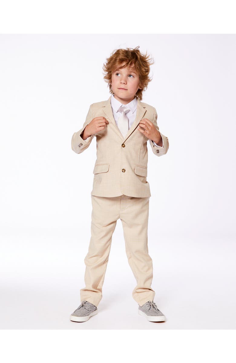 Deux par Deux Boy's Neck Tie Light Taupe Striped, Alternate, color, Light Taupe Striped