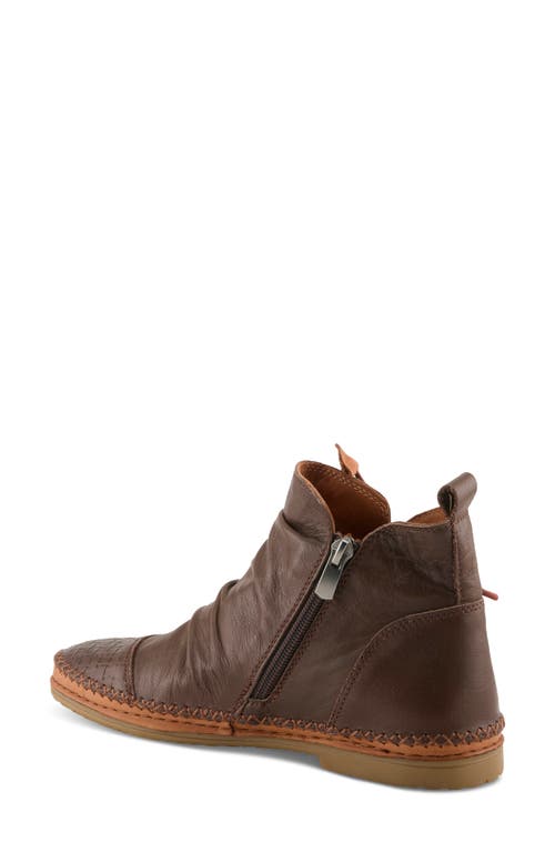 Spring Step In Brown