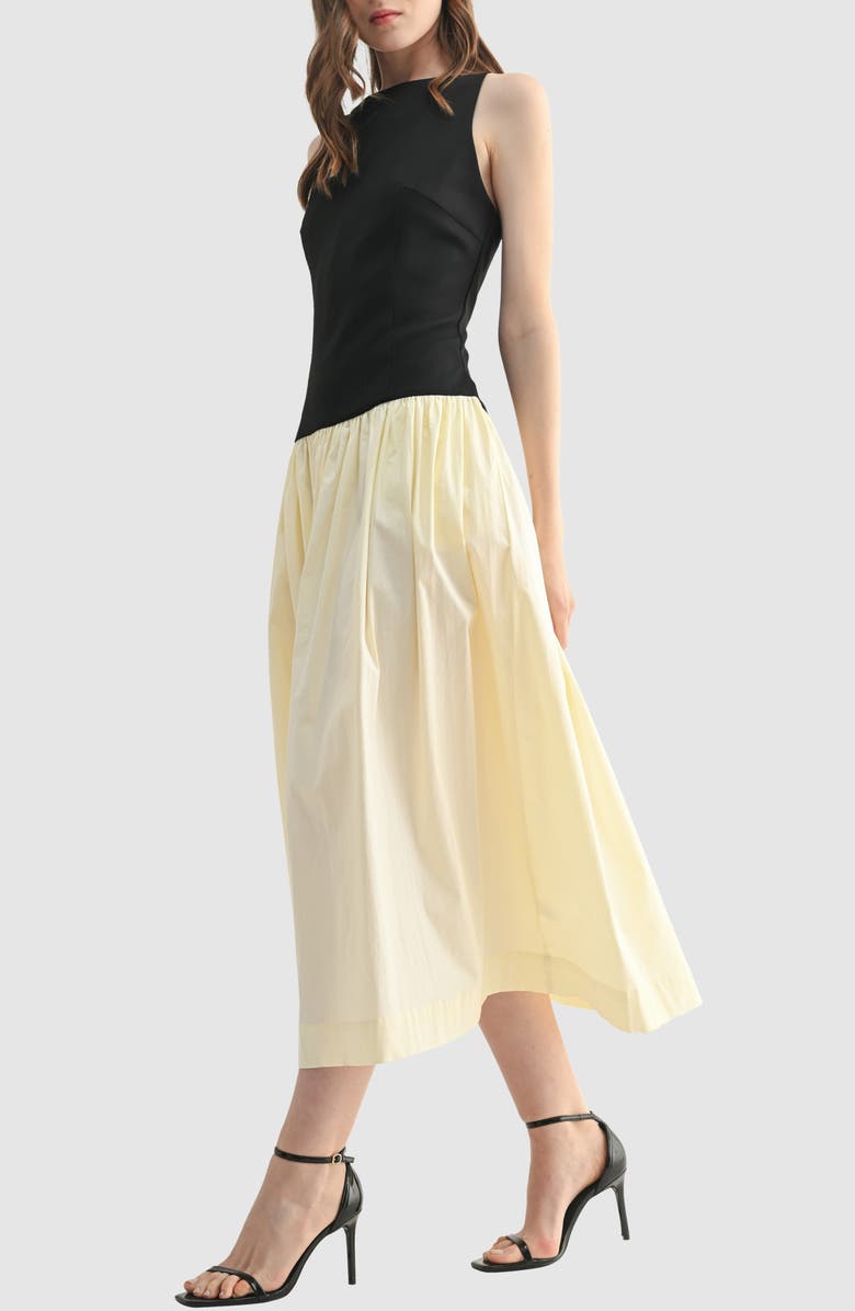 Lush Colorblock Poplin Fit & Flare Dress, Alternate, color, Black Cream