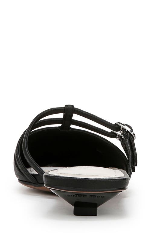 Franco Sarto Pia Pointed Toe Mule In Black