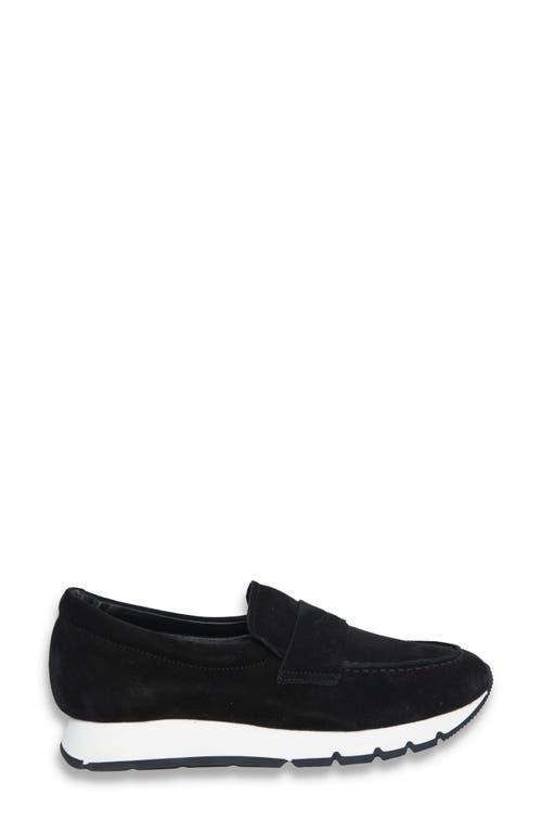 Voile Blanche Julia Hybrid Loafer Sneaker In Black