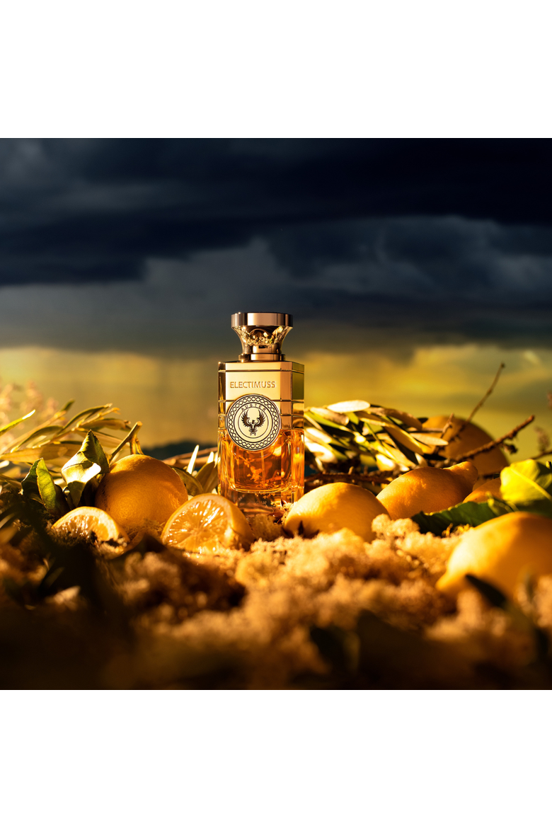 Auster Eau de Parfum, Alternate, color, None