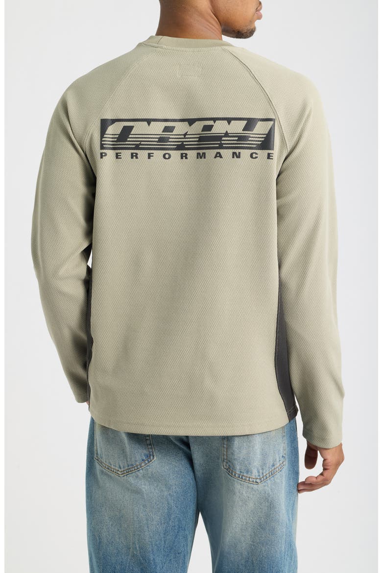 Delta Knit Long Sleeve Graphic T-Shirt, Alternate, color, DRIED SAGE MULTI