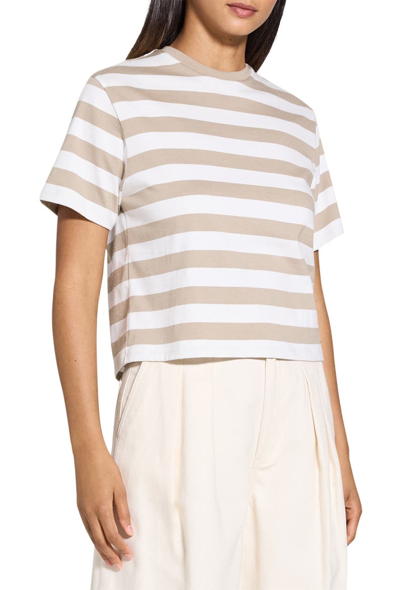 Stripe Cotton T-Shirt, Alternate, color, TAUPE MULTI