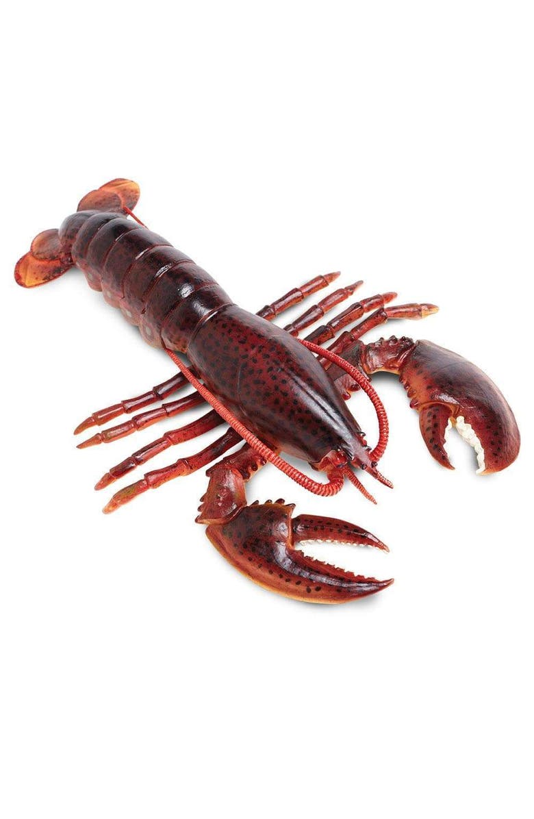 Safari Ltd. Maine Lobster Toy, Main, color, NO COLOR