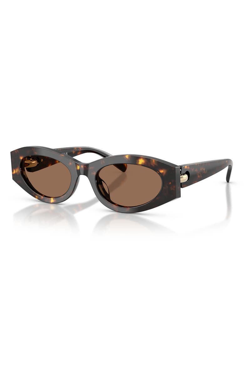 Tory Burch 52mm Oval Sunglasses, Alternate, color, Brown Tortoise / Brown