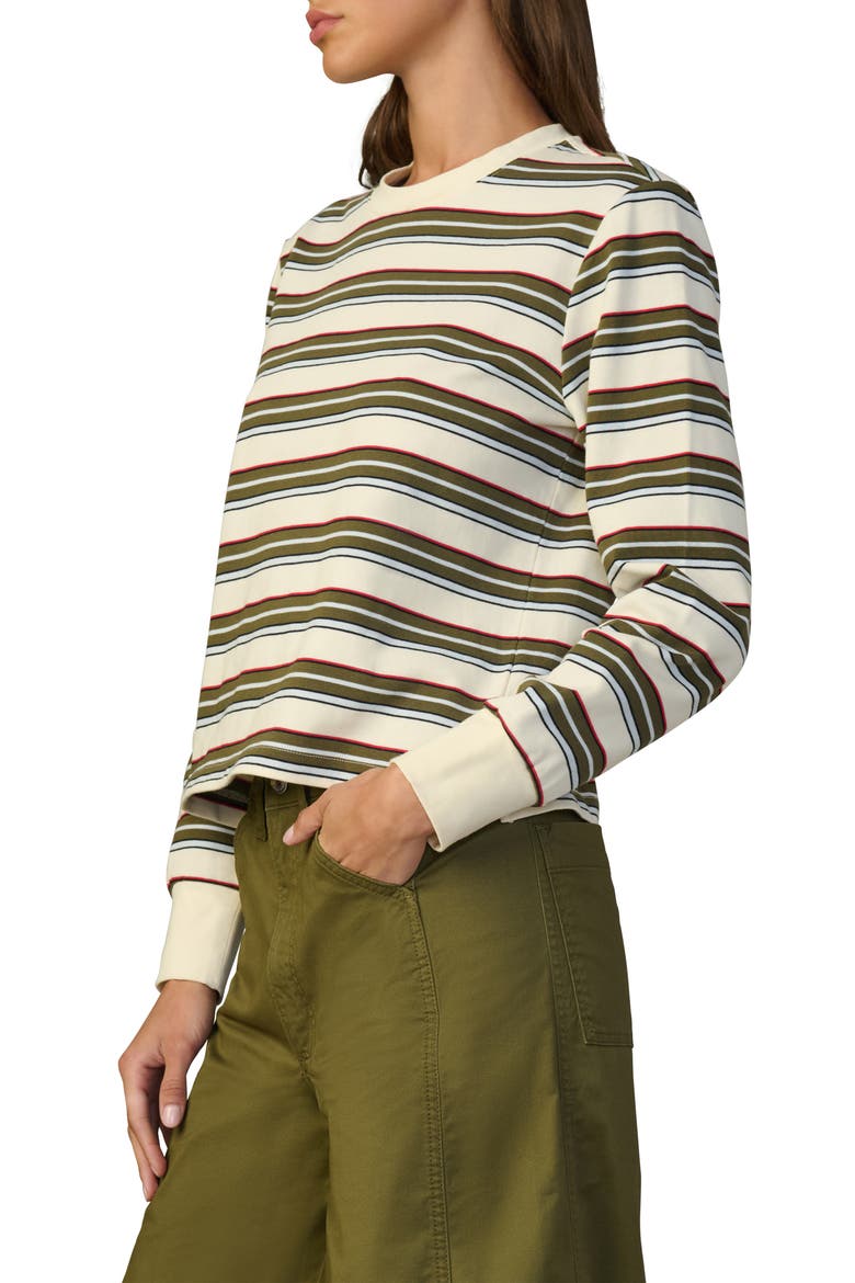 Stripe Long Sleeve Cotton T-Shirt, Alternate, color, IVY MULTI STRIPE