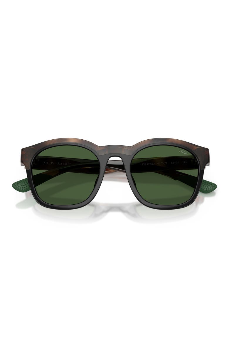 51mm Square Sunglasses, Alternate, color, SHINY HAVANA/ BLACK / GREEN