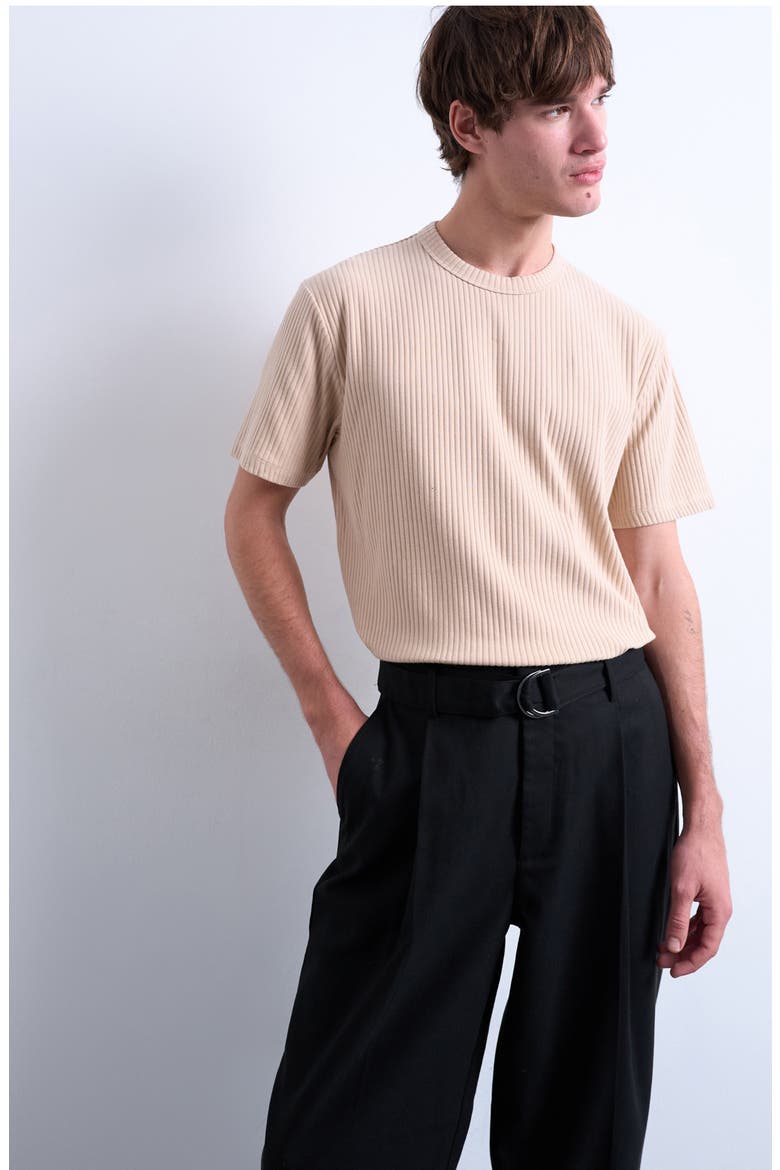 Heavyweight Rib T-Shirt, Main, color, CAMEL