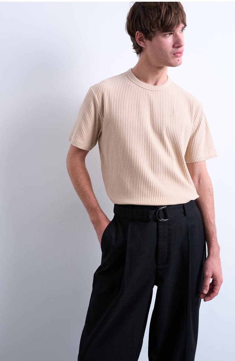 Topman Heavyweight Rib T-Shirt, Main, color, Camel