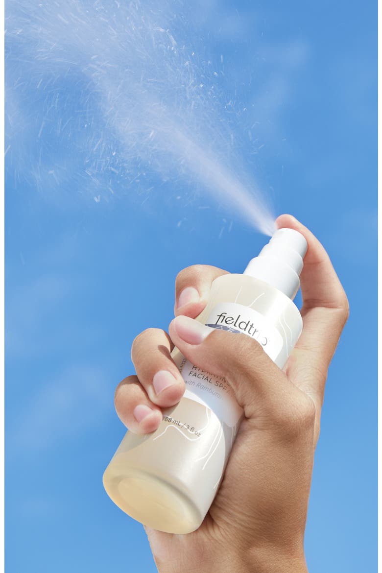 Wandermist Hydrating Facial Spray, Alternate, color, NO COLOR
