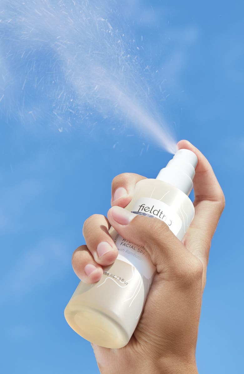 Fieldtrip Wandermist Hydrating Facial Spray, Alternate, color,