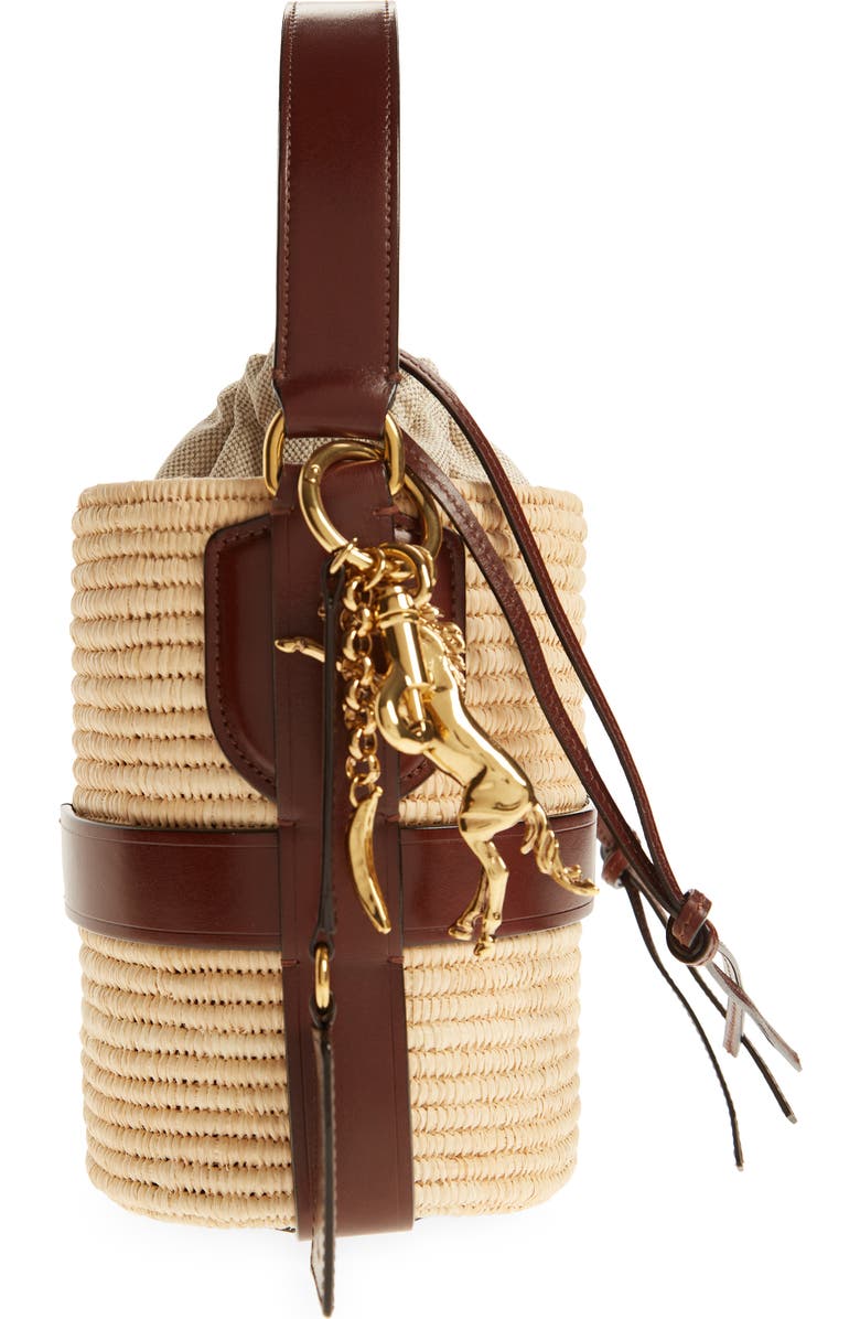 Chloé Small Kerala Straw & Leather Bucket Bag, Alternate, color, Dark Ebony