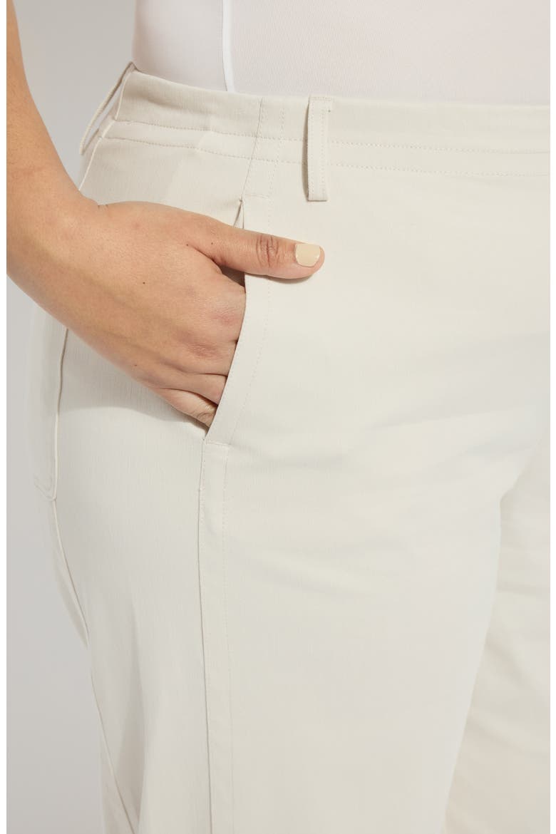 Anelise Barrel Pants, Alternate, color, OAT