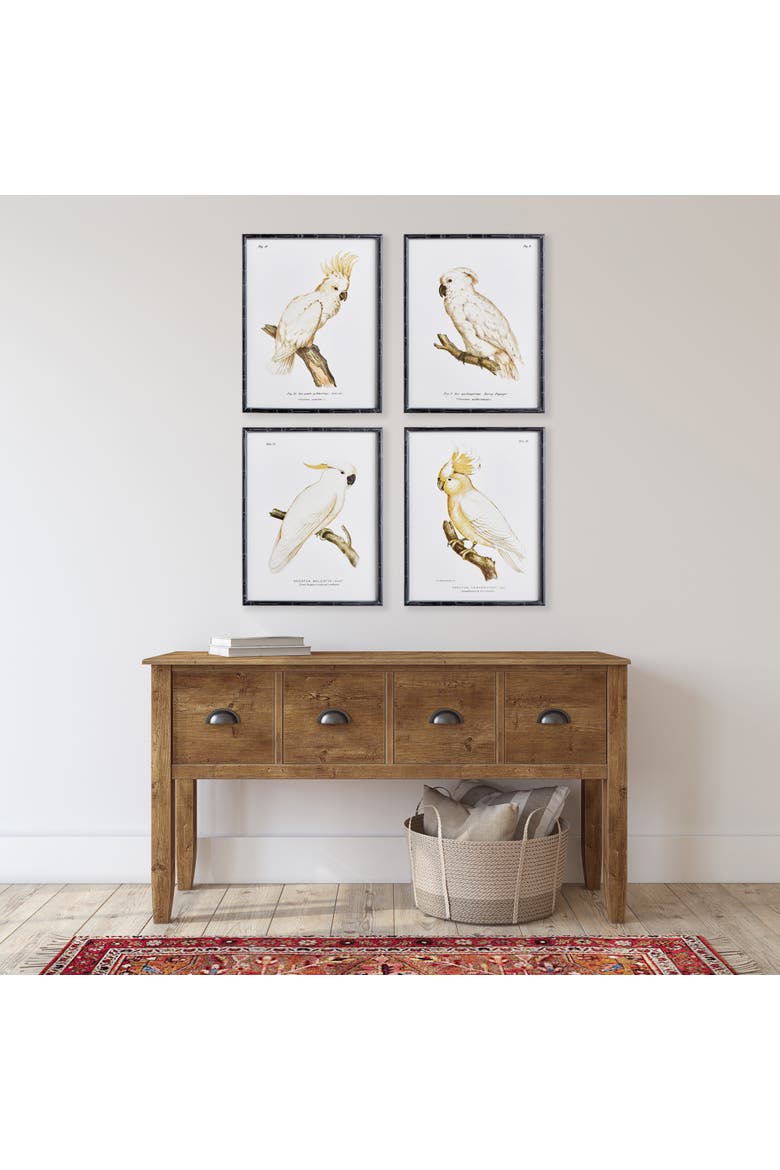 Parrot Study In White Framed Wall Art Set of 4, Alternate, color, Black