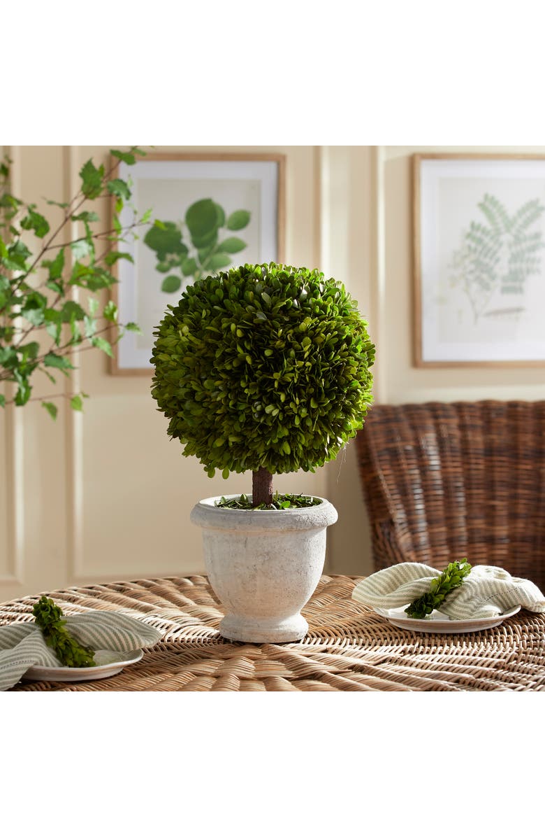 Napa Home & Garden Boxwood Single 11" Ball Topiary In Pot, Alternate, color, Green