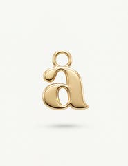 ABLE Initial Charm