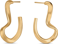 Nabs And Babs Sahab Hoop Earrings