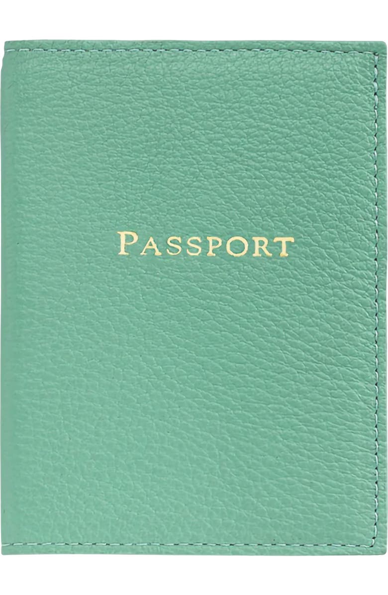 Graphic Image Leather Passport Cover, Main, color, Robins Egg Blue