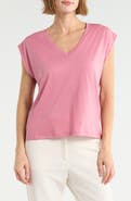Nordstrom V-Neck Pima Cotton T-Shirt
