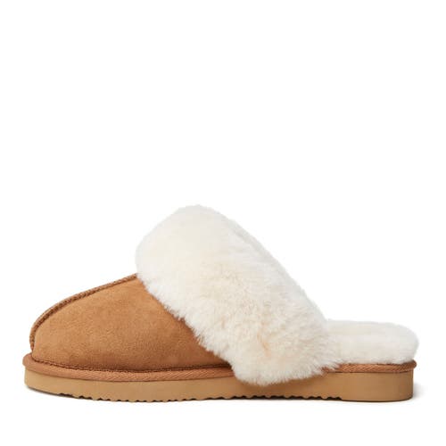 Dearfoams Fireside Melton Genuine Shearling Platform Scuff Slipper In Nude