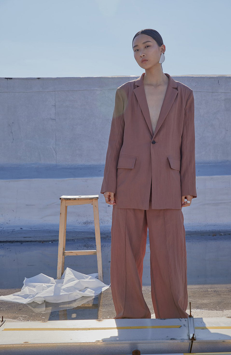 CAALO Removable Cargo Pocket Blazer, Alternate, color, Mauve / Dusty Rose