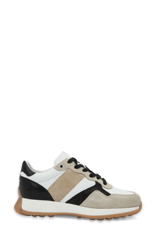 Naot Sunset Sneaker In Multi