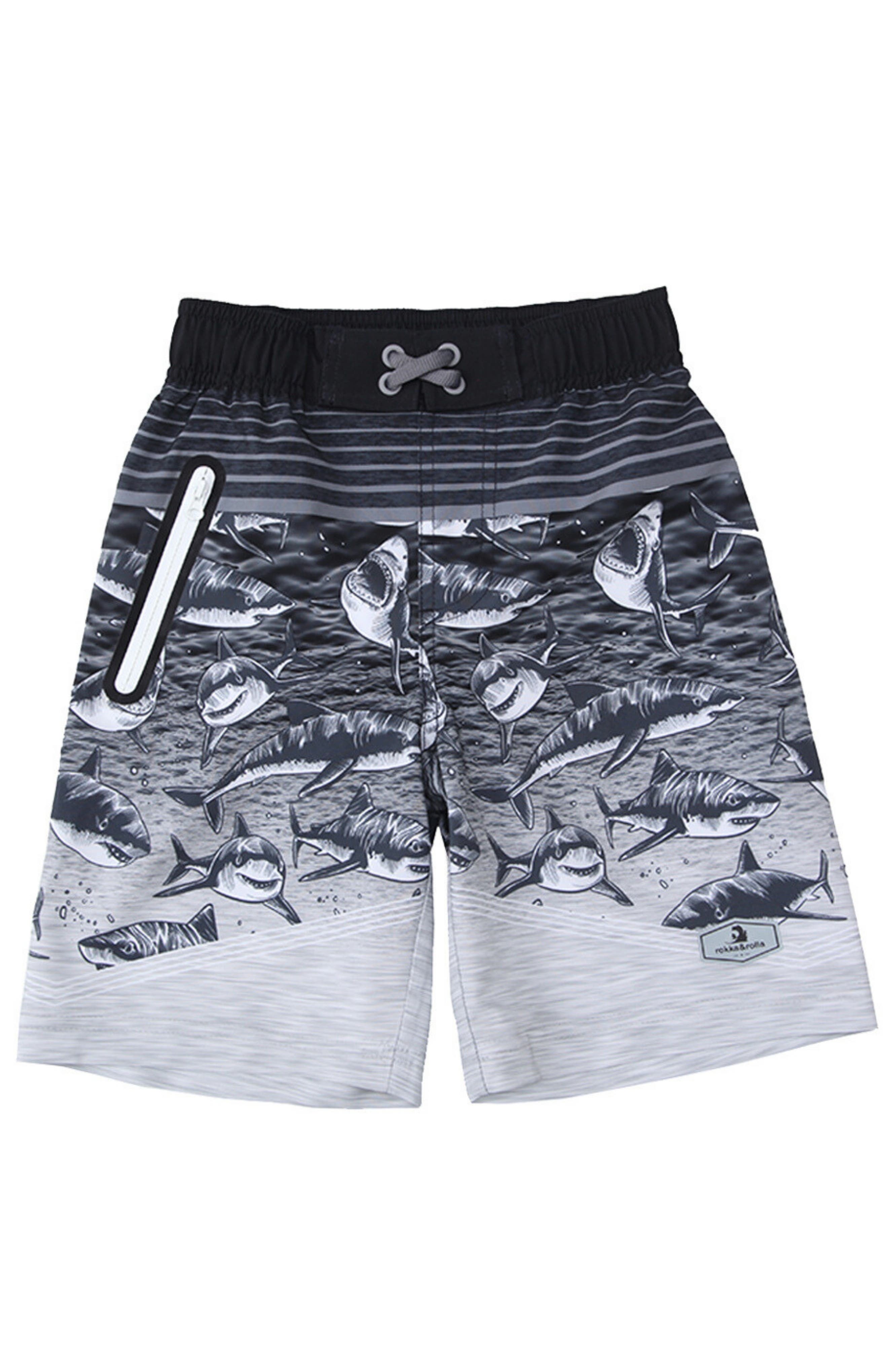 Gray shark
