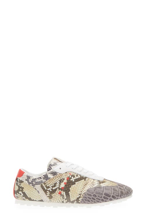 Marni Low Profile Sneaker In Multi