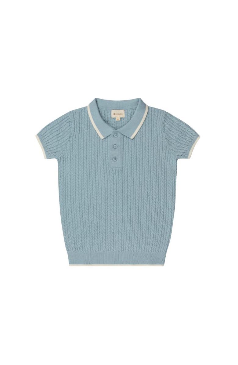 Ely's & Co. Looms Embroidered Trim Collection - Cable Knit Polo, Main, color, Blue/Ivory