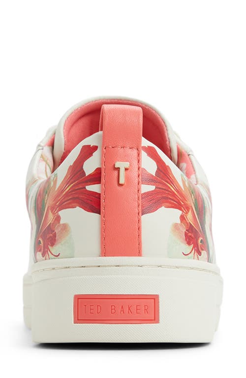 Ted Baker London Alison Sneaker In Bone Multi