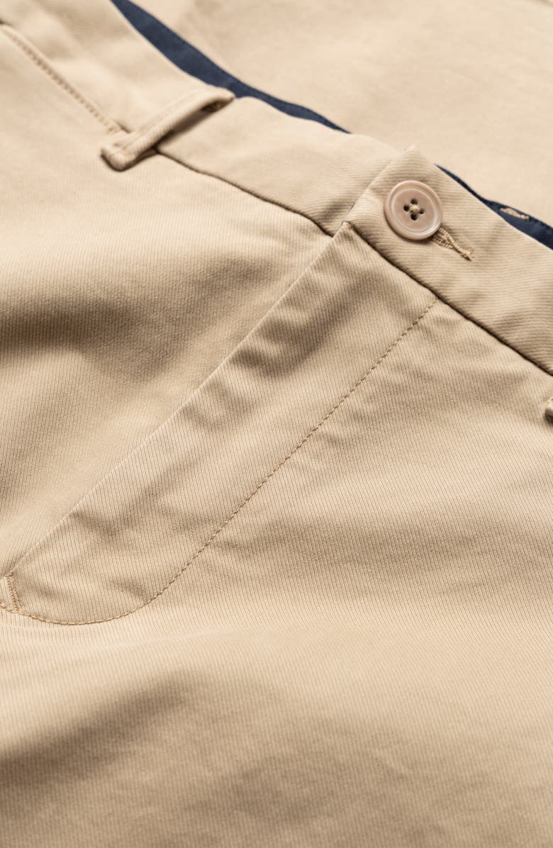 Rodd & Gunn West Cape Regular Stretch Flat Front Pants, Alternate, color, Sepia