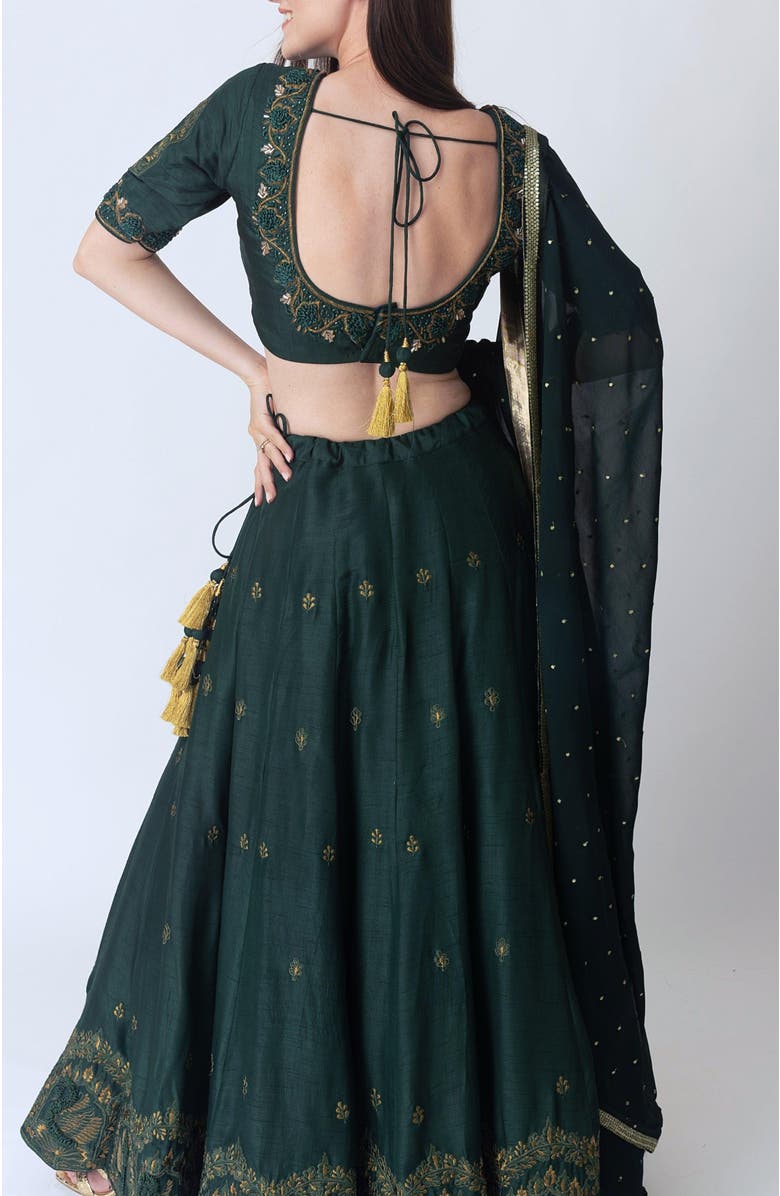 RAAS Sayona Raw Silk Embroidered Lehenga Choli, Alternate, color, 